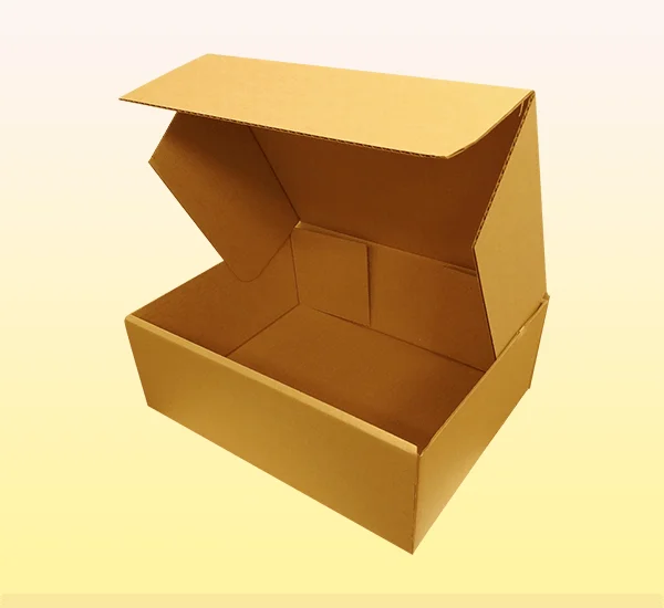 Custom-Made Shoe Box