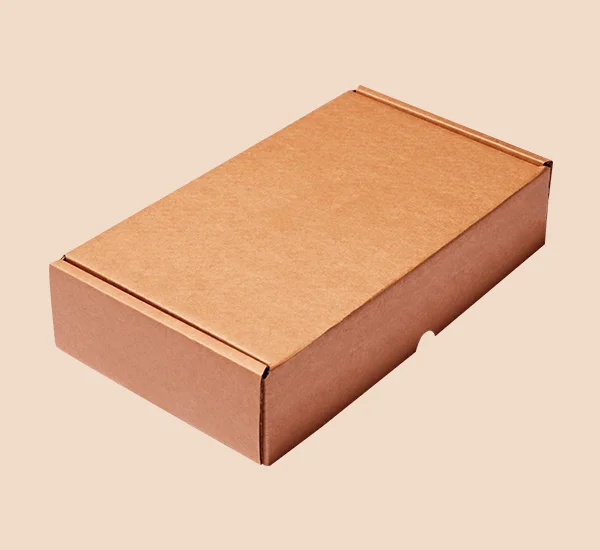 Kraft Shipping Box