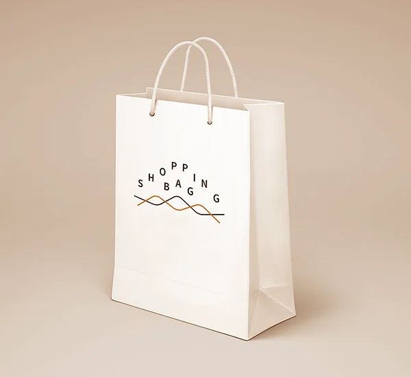 Paper Packaging Bag