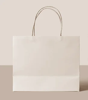 Paper Shopping Bag