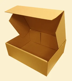 Shoe Box Packaging